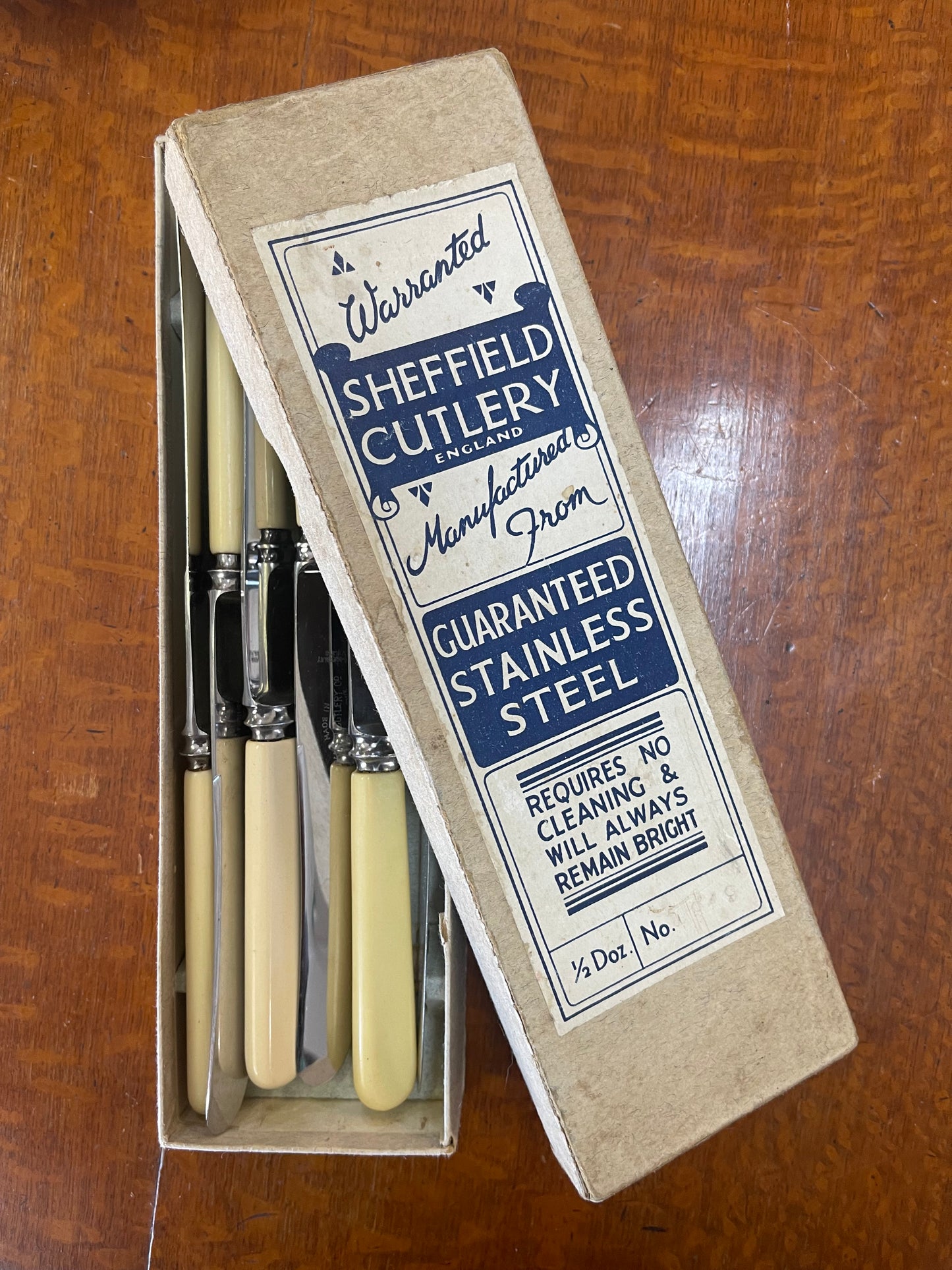 Vintage xylonite bone handled knives in box