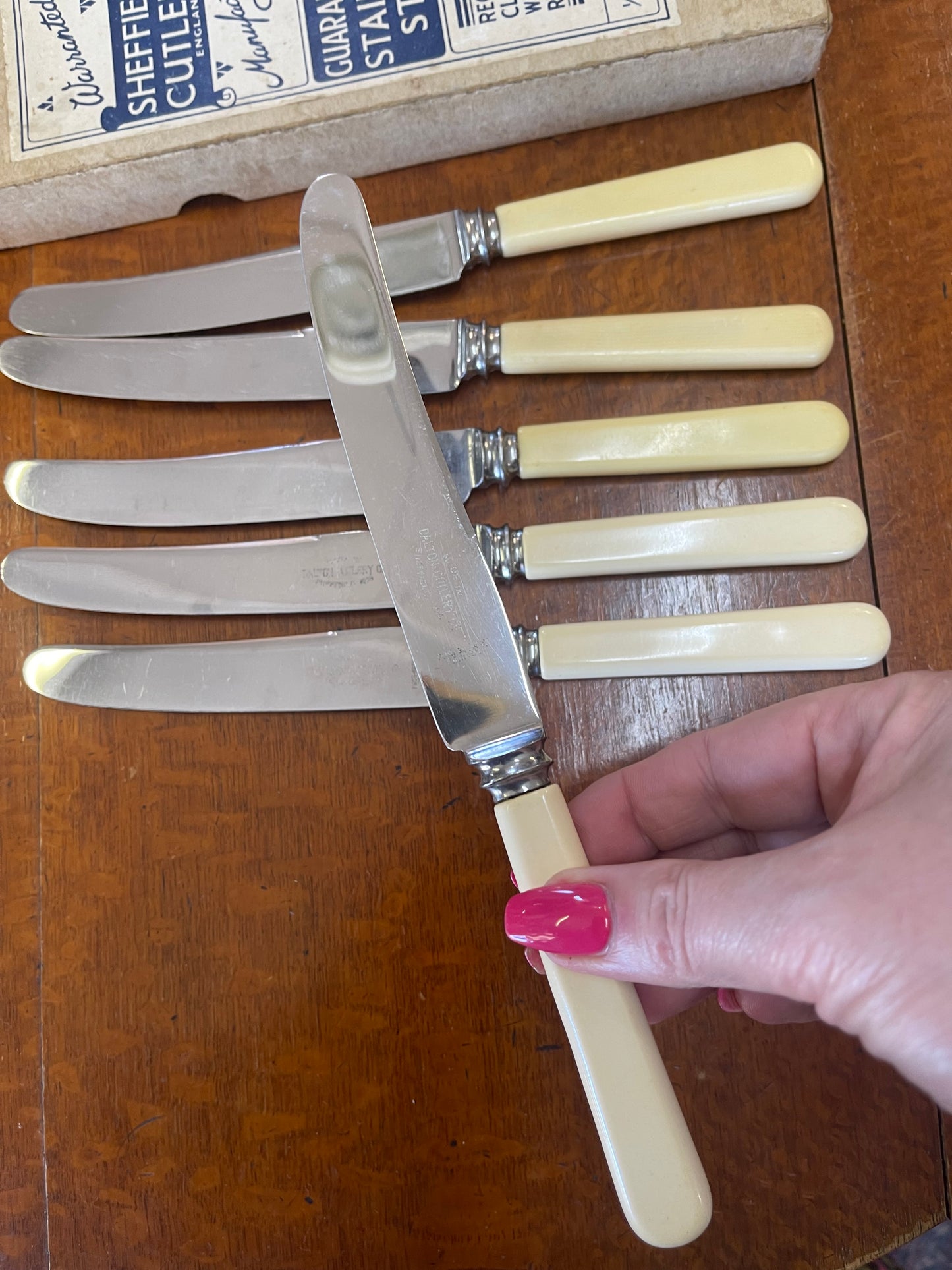 Vintage xylonite bone handled knives in box