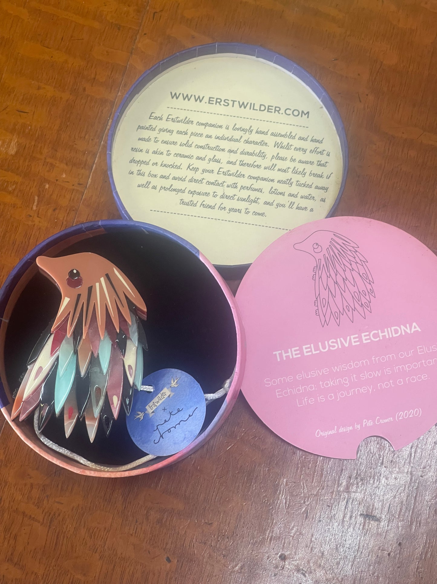 The Elusive Echidna Brooch (2020) by Erstwilder