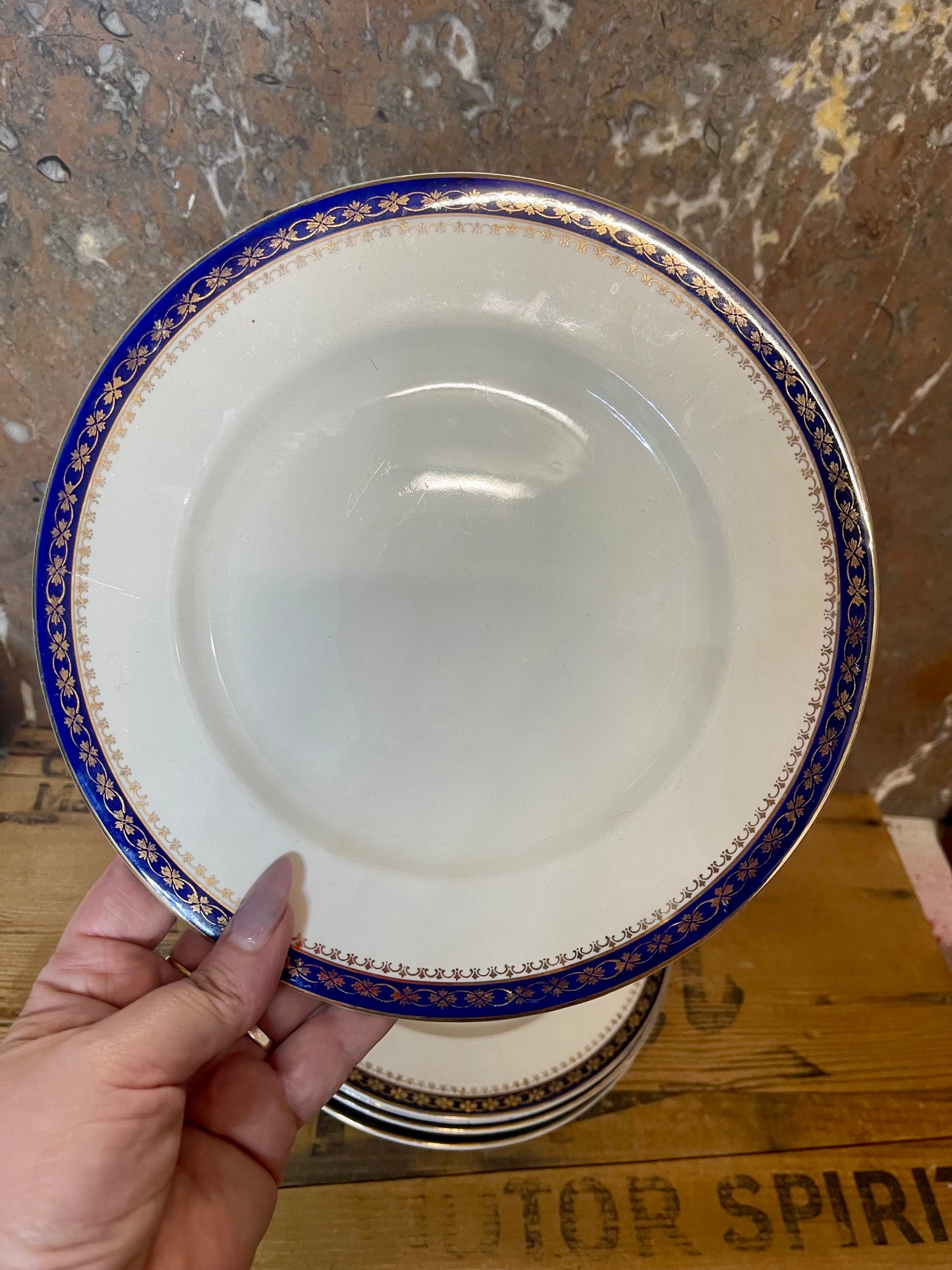 Alfred Meakin “Bleu de Roi” Dinner Plates – Set of 6