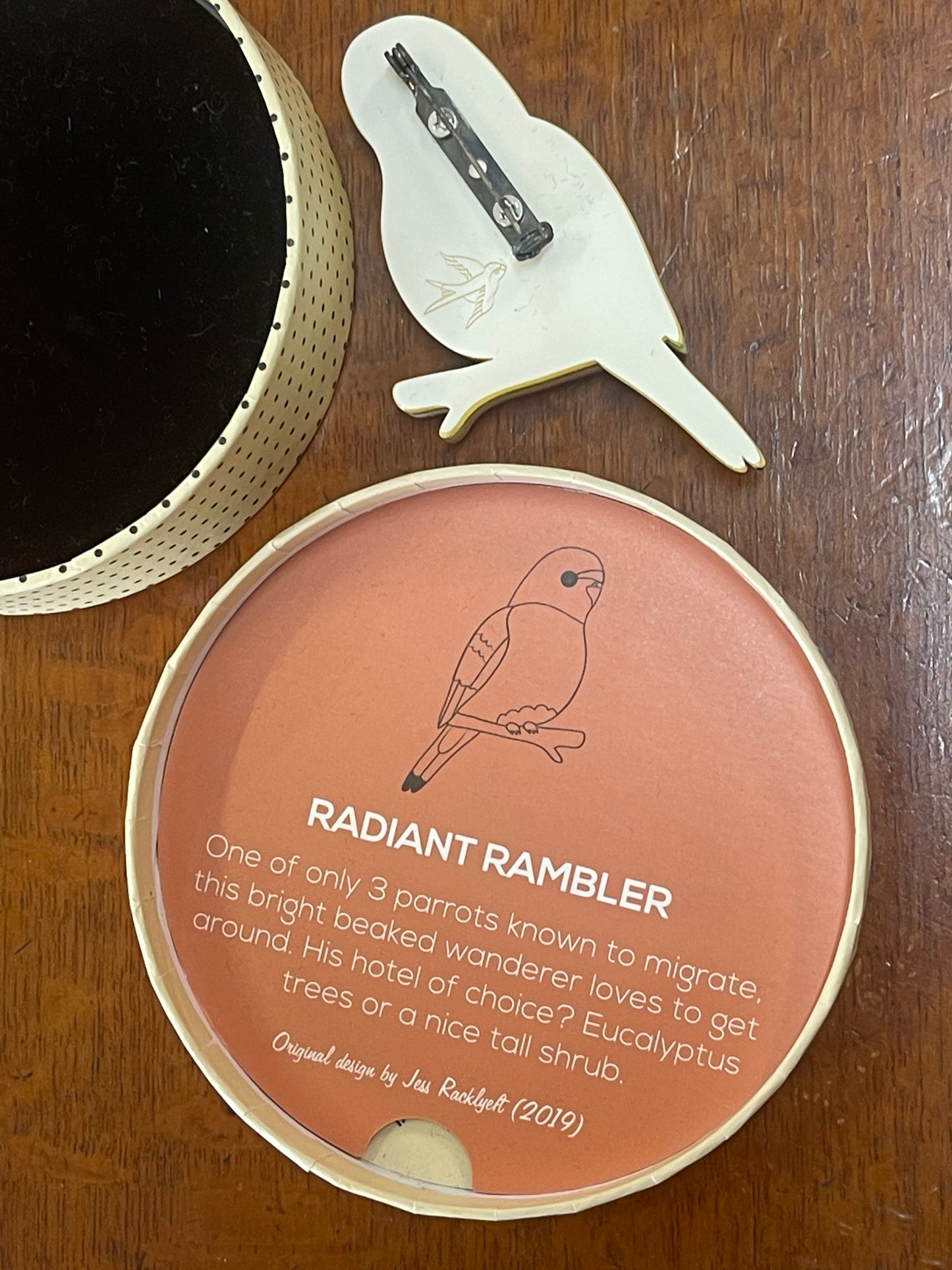 Radiant Rambler Parrot Brooch by Erstwilder and Jess Racklyeft (2019)
