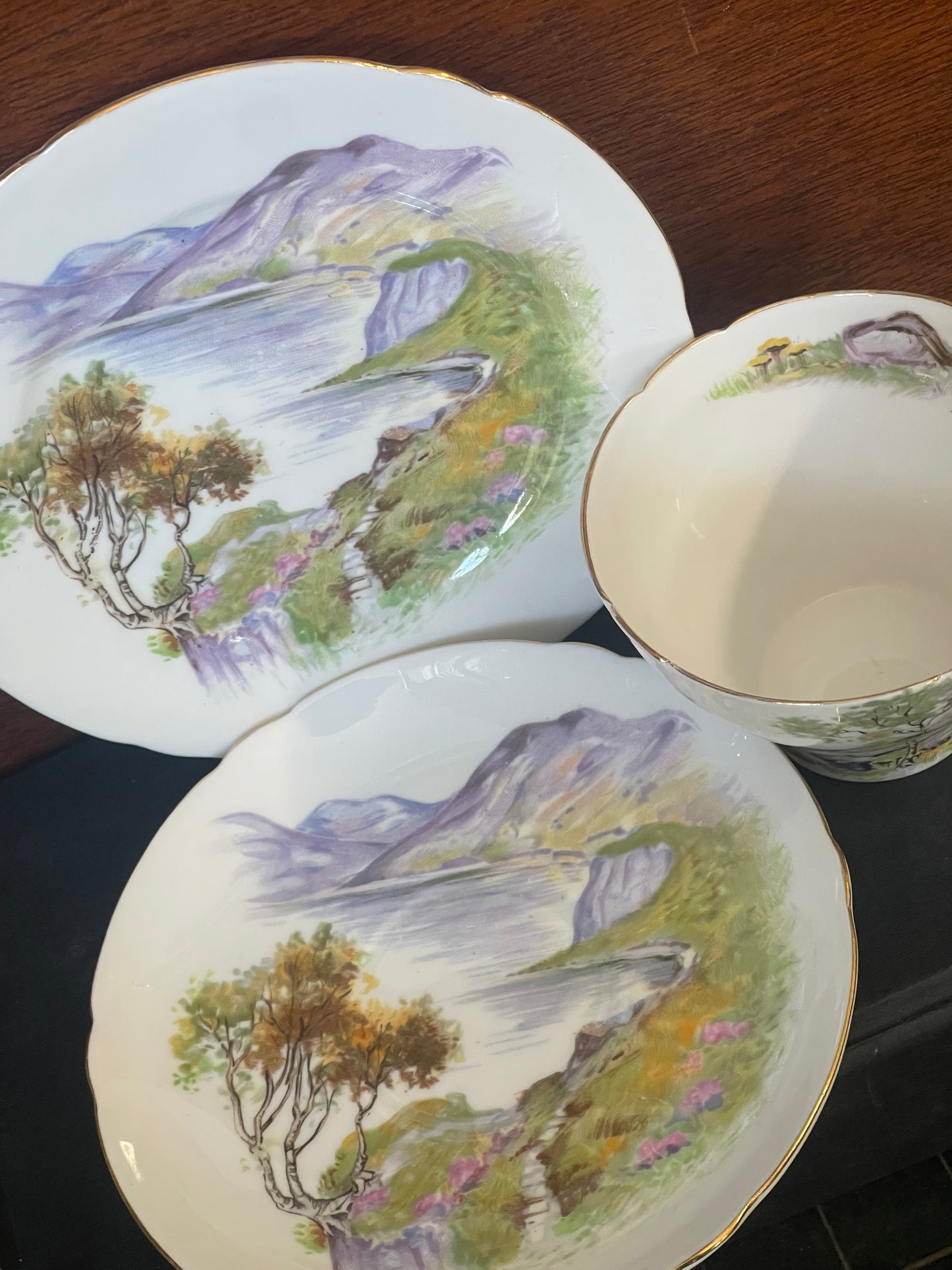 Vintage 1950s Shelley Fine Bone china trio English Lakes