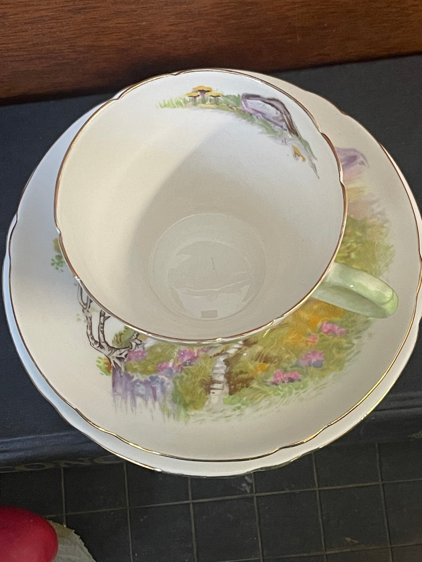 Shelley Fine Bone China Trio – “English Lakes” Landscape Series