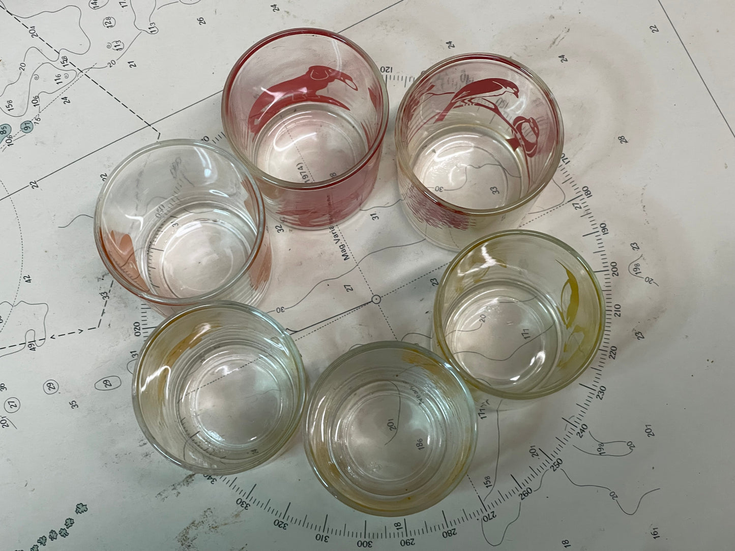 Set of 6 Vintage Australian Wildlife Tumblers – Mini Swanky-Style Glasses