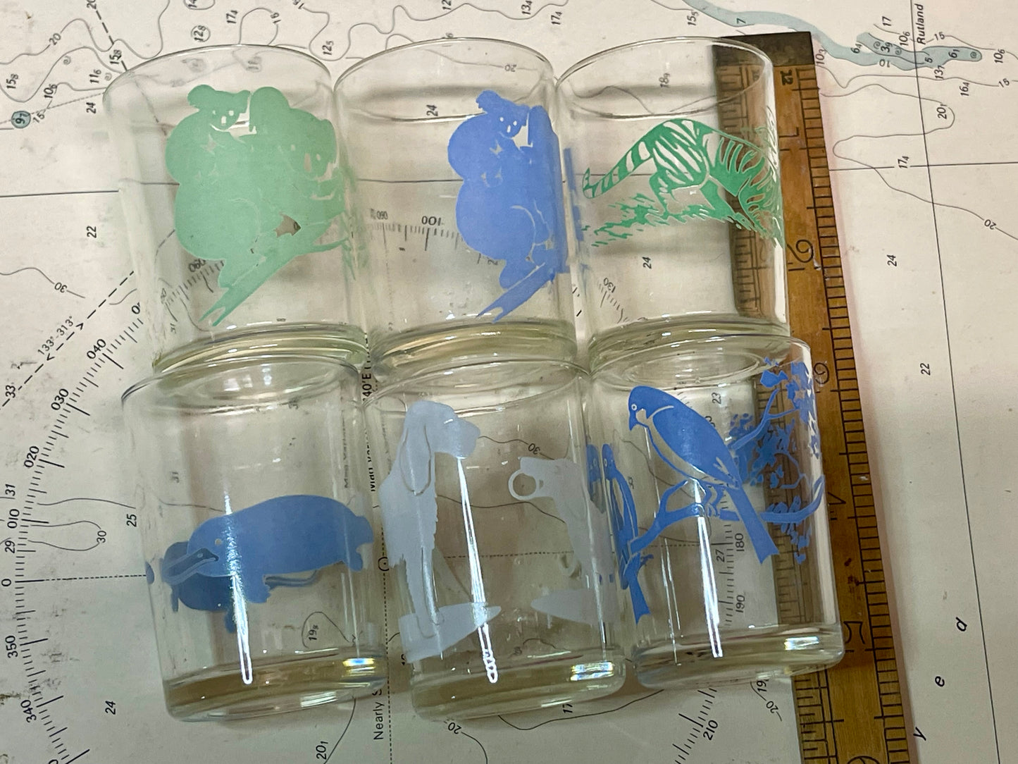 Set of 6 Vintage Australian Wildlife Tumblers – Blue & Green Swanky-Style Glasses
