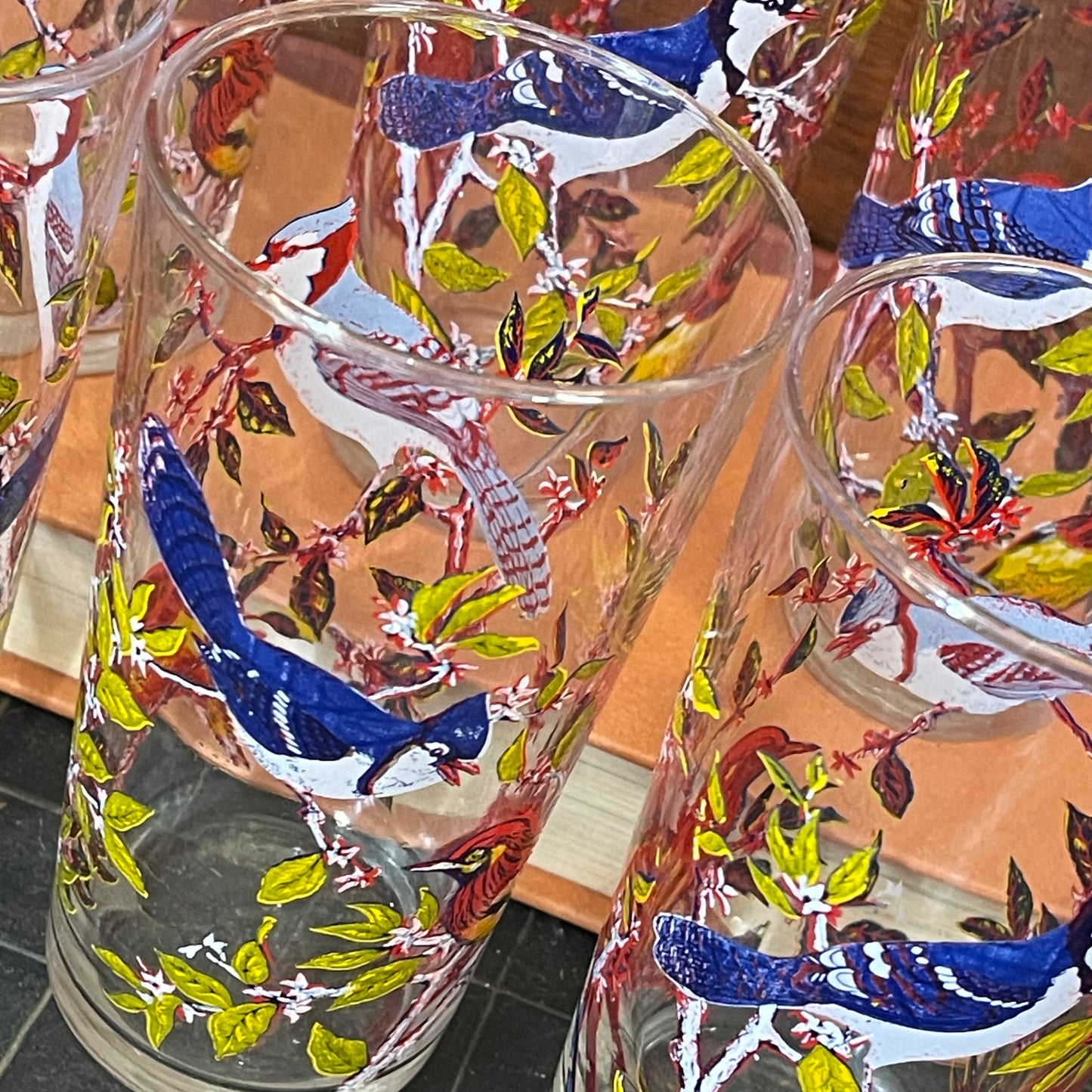 6 piece water glass Set with blue and red birds c.1970 s