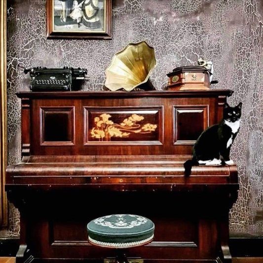 Vintage upright piano with gramophone and cat at Kitten Vintage Mackay, showcasing antique furniture and sustainable style