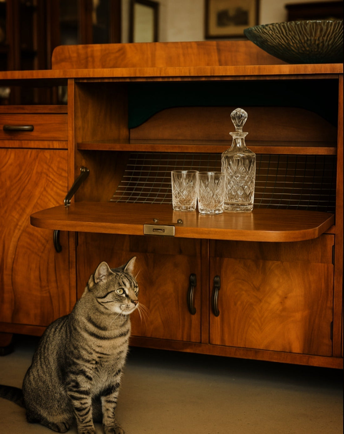 The Witch in the Wardrobe - Part Six - The Camphor-Laurel Secret