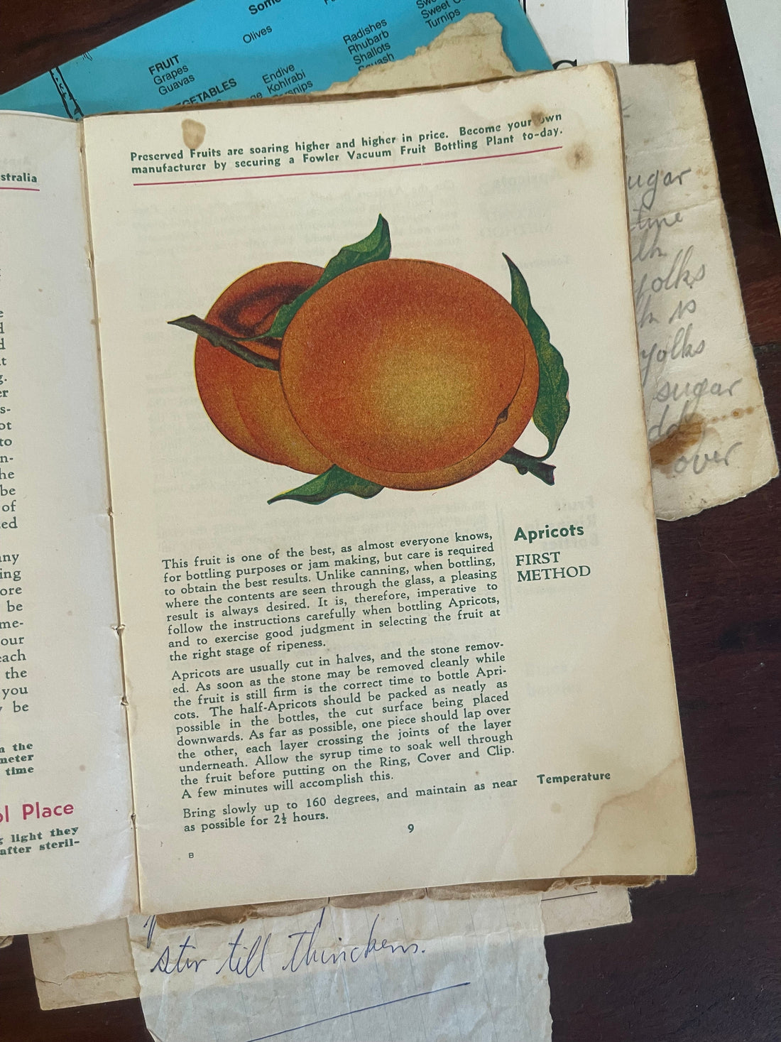 Nostalgia in a Jar: Apricots, Memories & the Fowlers Vacola Story