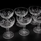 Bohemia Crystal Hollow Stem Champagne Coupes — Set of 6