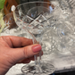 Bohemia Crystal Hollow Stem Champagne Coupes — Set of 6