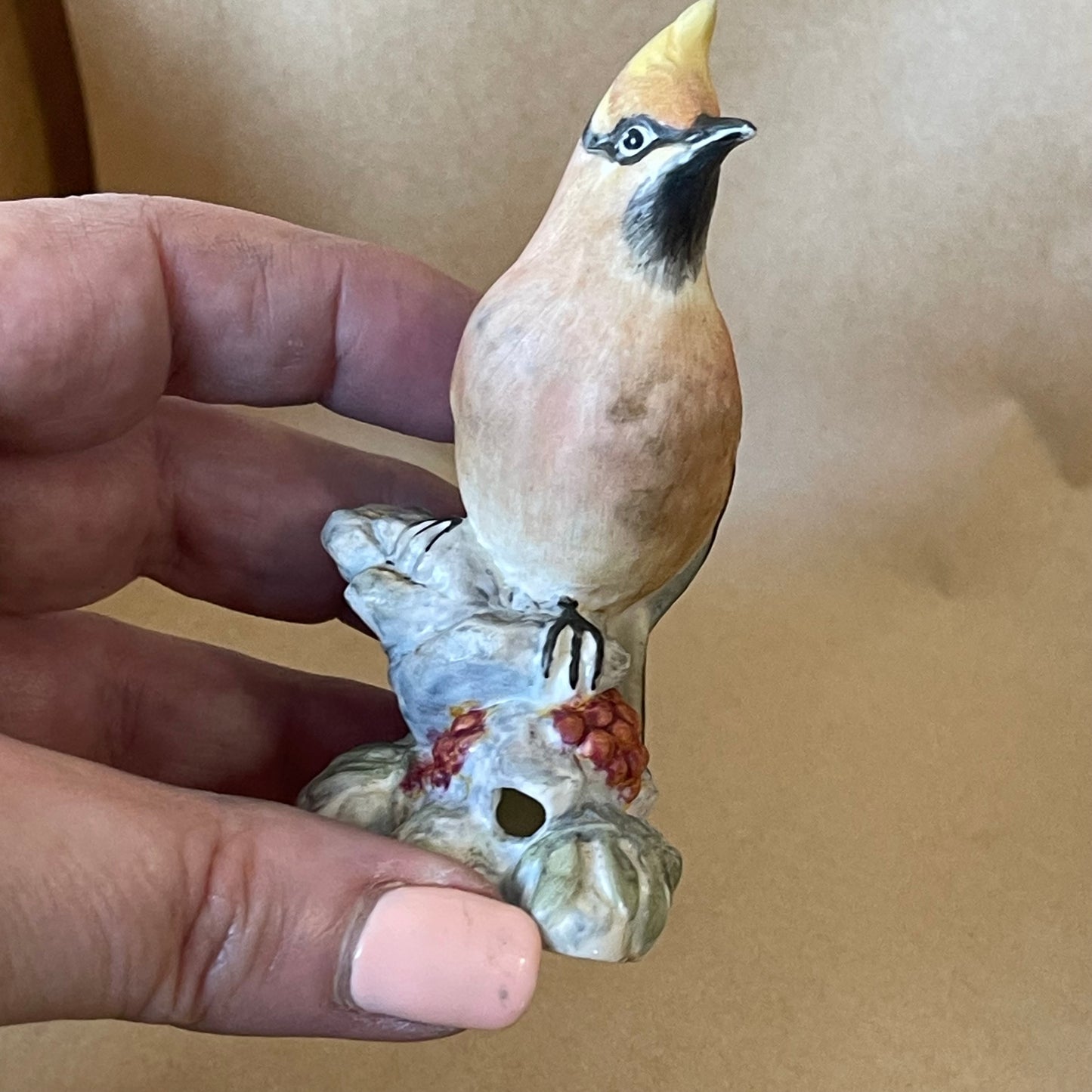 Royal Worcester Hand Painted Bone China Waxwing Figurine - 3648