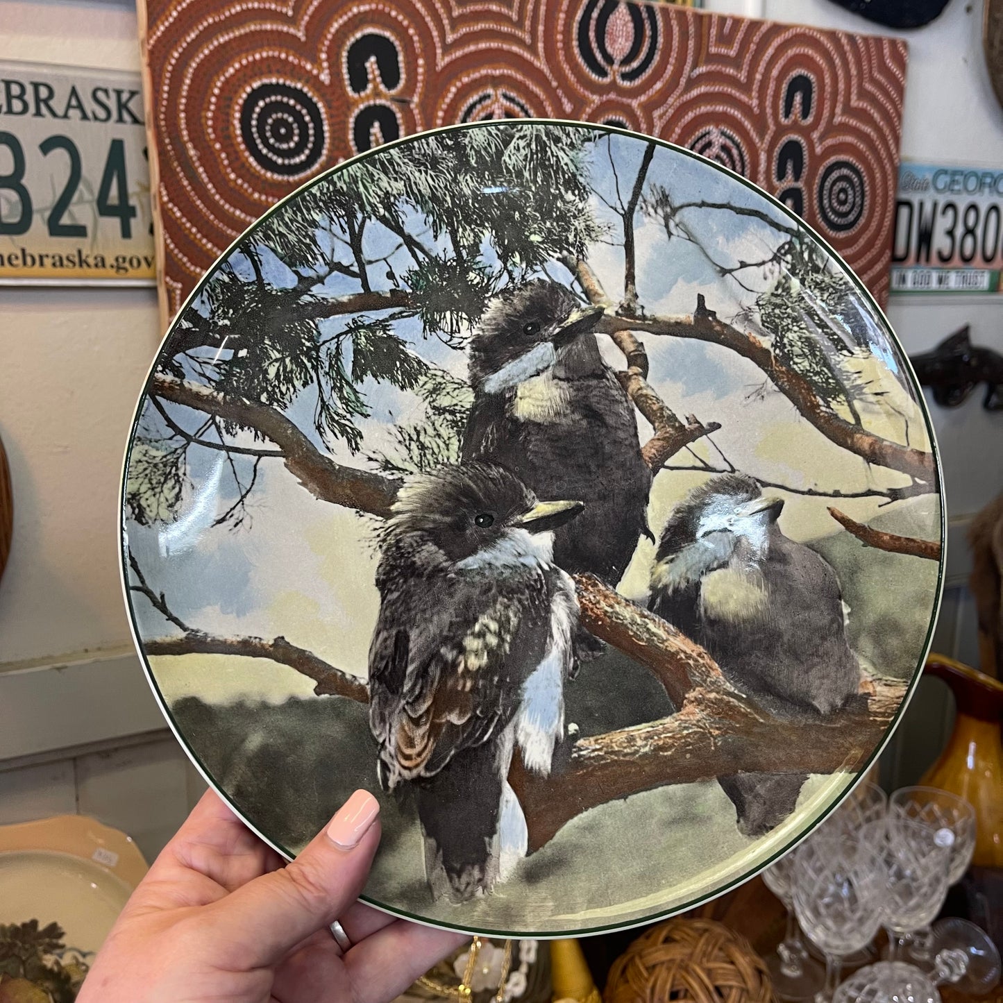 Vintage 1950s D6426 Royal Doulton Display Dinner Plate “Young Kookaburras ”