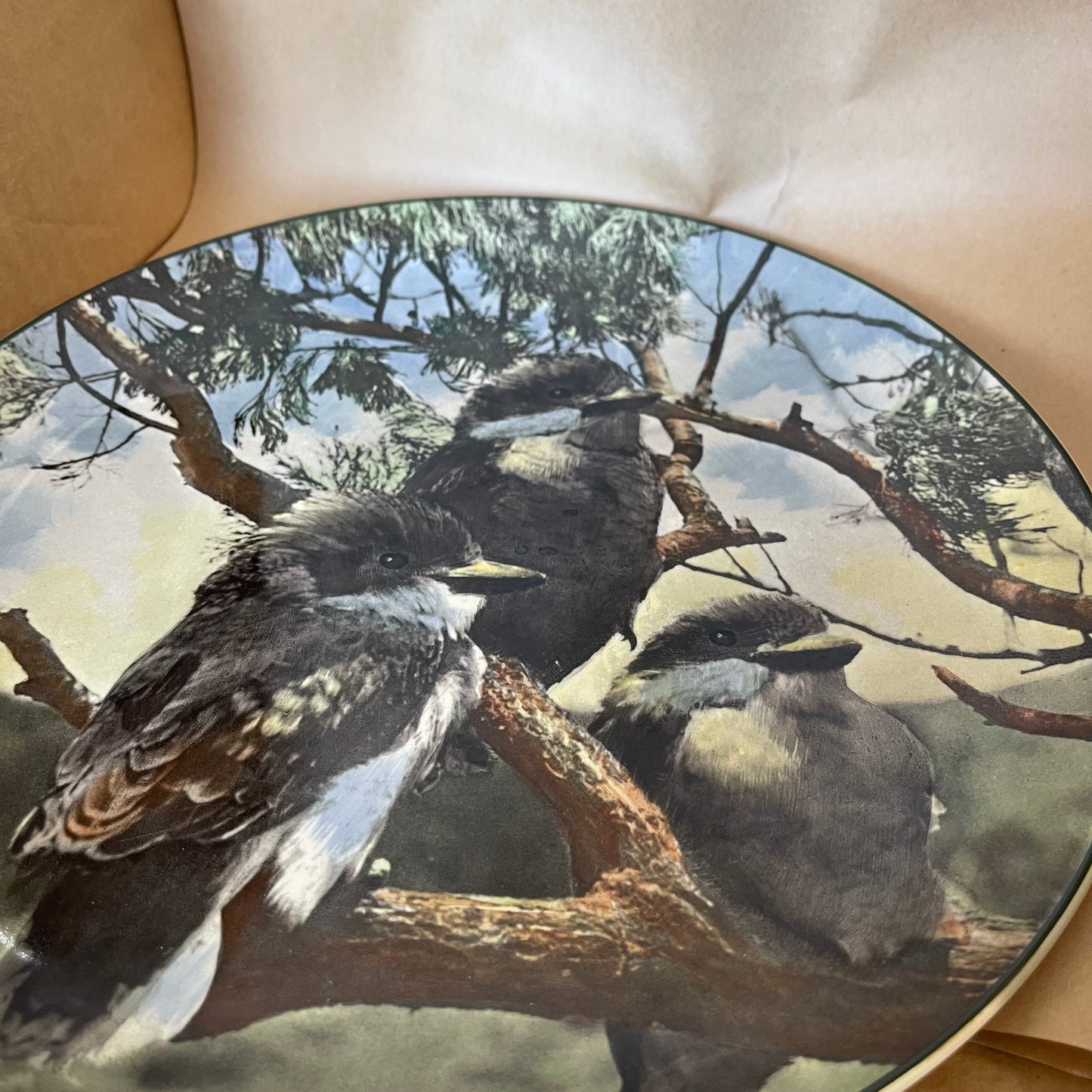 Vintage 1950s D6426 Royal Doulton Display Dinner Plate “Young Kookaburras ”