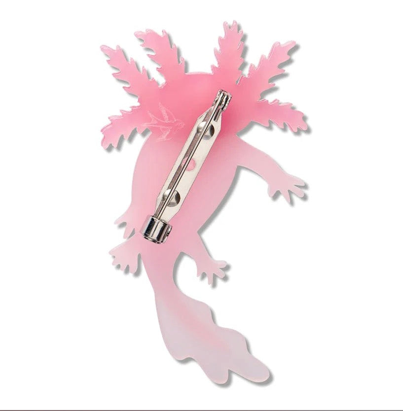 Erstwilder “ Axolotl” Brooch – The Rarest Kind Collection (2026)