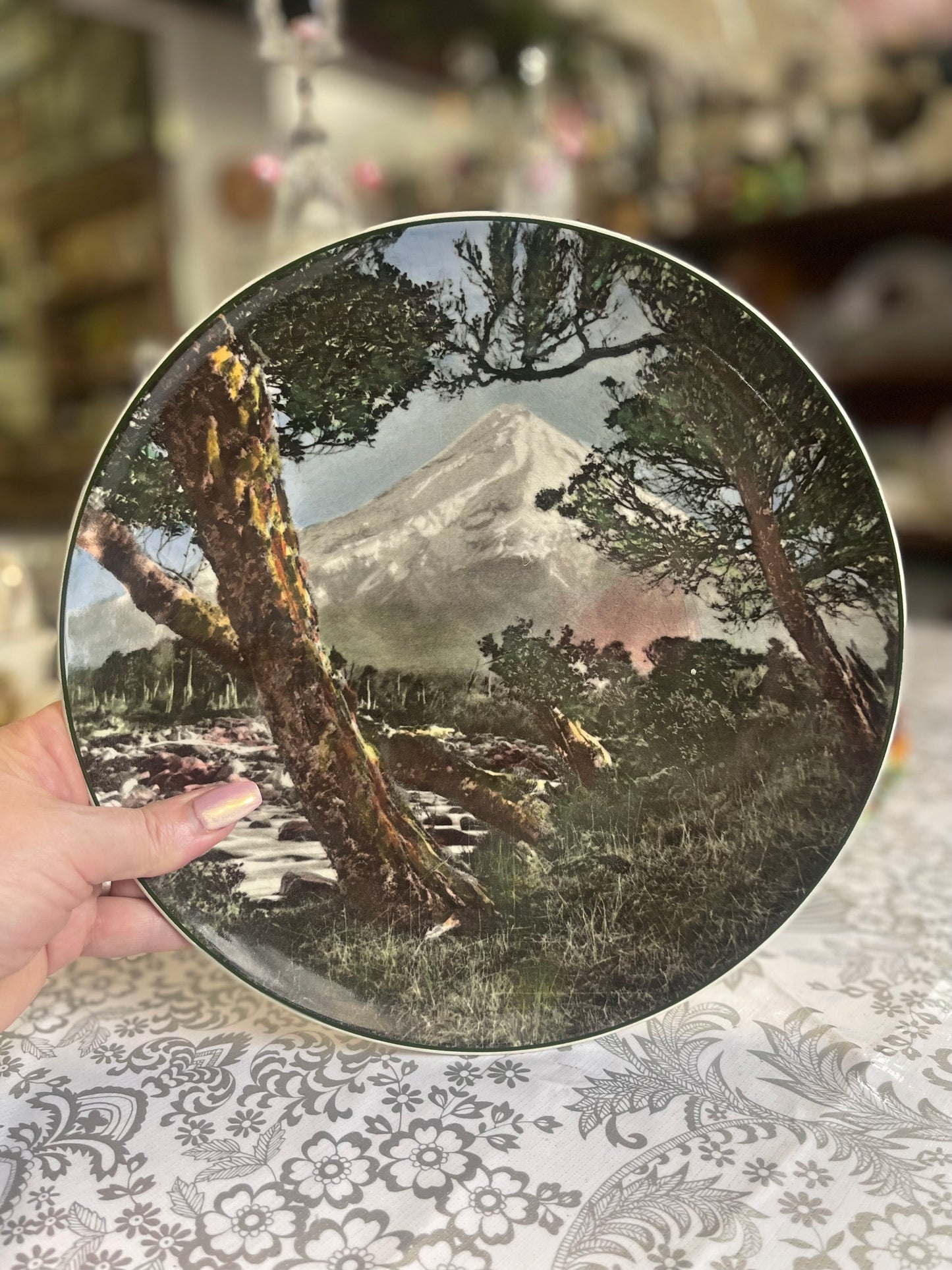 Vintage 1950s Royal Doulton Display Plate D6436 Mount Egmont