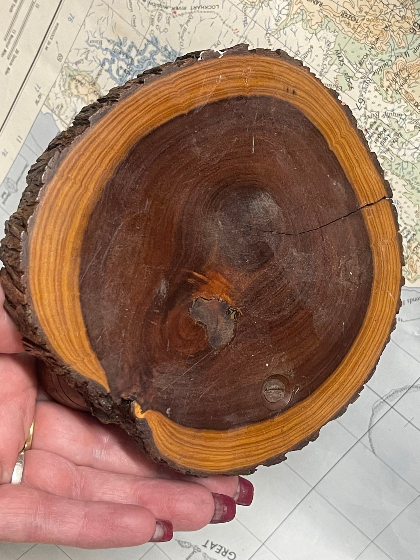 Vintage Australian Kangaroo Desk Tidy / Ashtray – c. mid-20th century