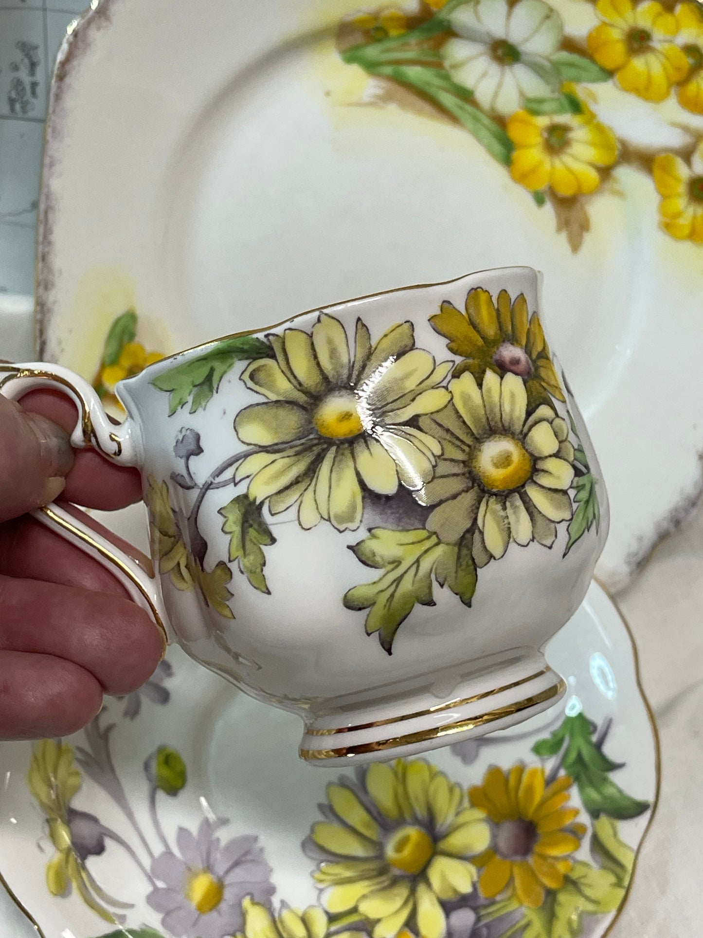Royal Albert Daisy trio from the Flower of the Month series, April No. 4