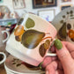 Vintage Johnson of Australia ‘Green Pear’ Stoneware Coffee Cups and Plates Set  of 6