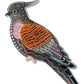 Erstwilder x Brooke Sutton Kulupatji Crested Pigeon Brooch – New in Box
