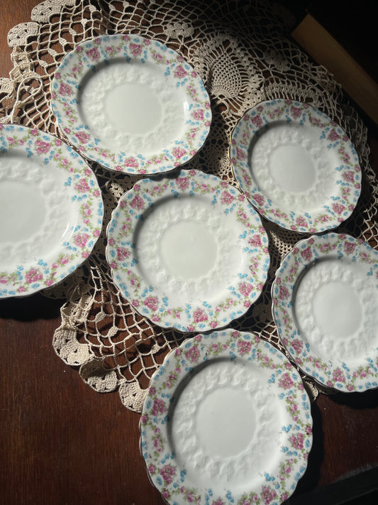 C.W.S. Longton Floral Side Plates (c.1913–1920s, England)