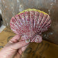 Vintage Lustre Ware Shell Vase