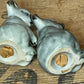 VINTAGE Darbyshire Koala Salt & Pepper Shakers (1946–1956)