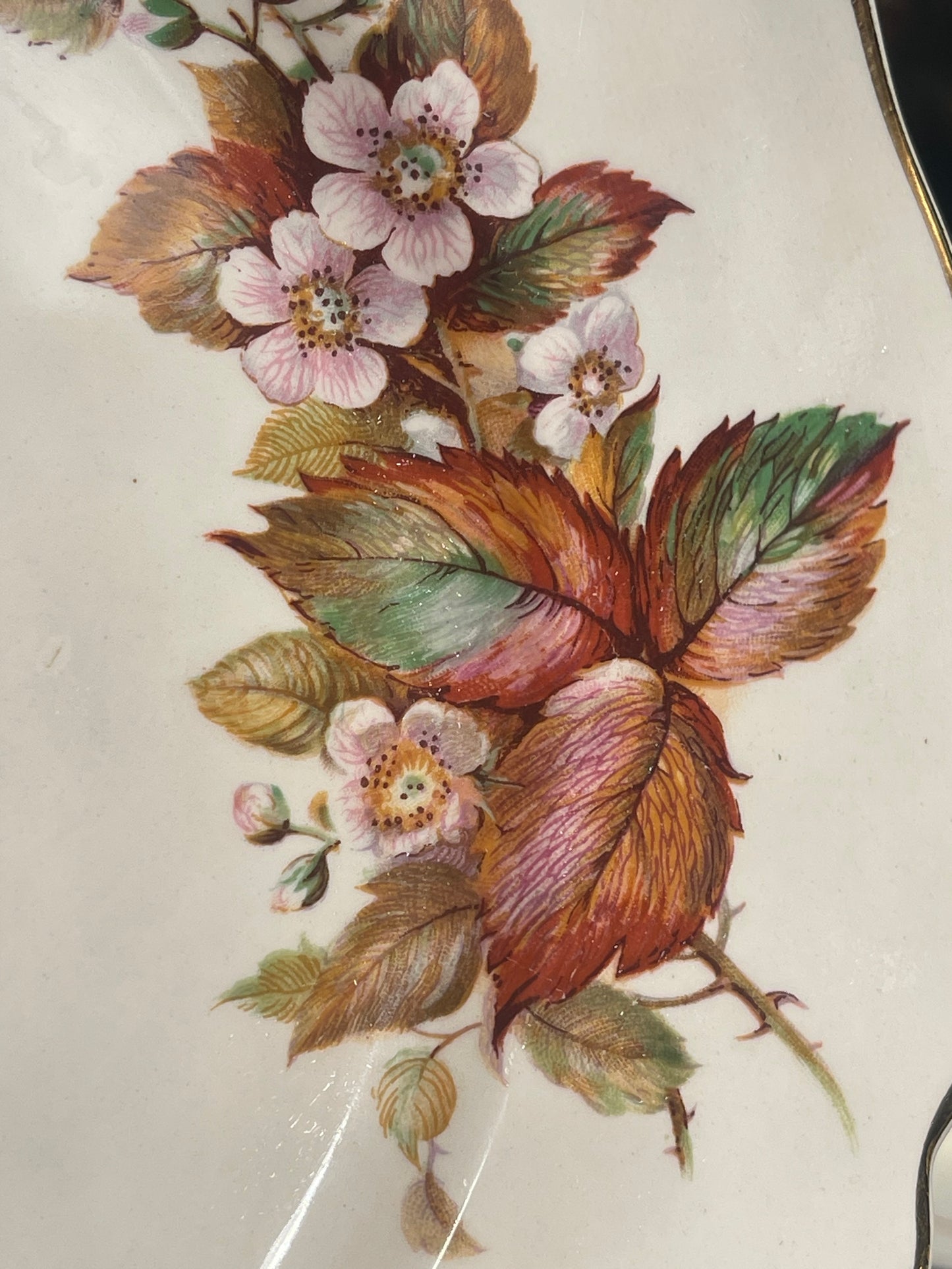 1930s Royal Doulton Wilton Dinner Set (Pattern D6226) – Vintage English China (40 Pieces)