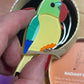 Radiant Rambler Parrot Erstwilder Brooch by Jess Racklyeft 2019