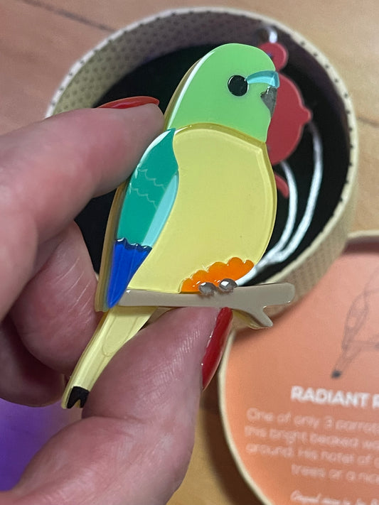 Radiant Rambler Parrot Erstwilder Brooch by Jess Racklyeft 2019