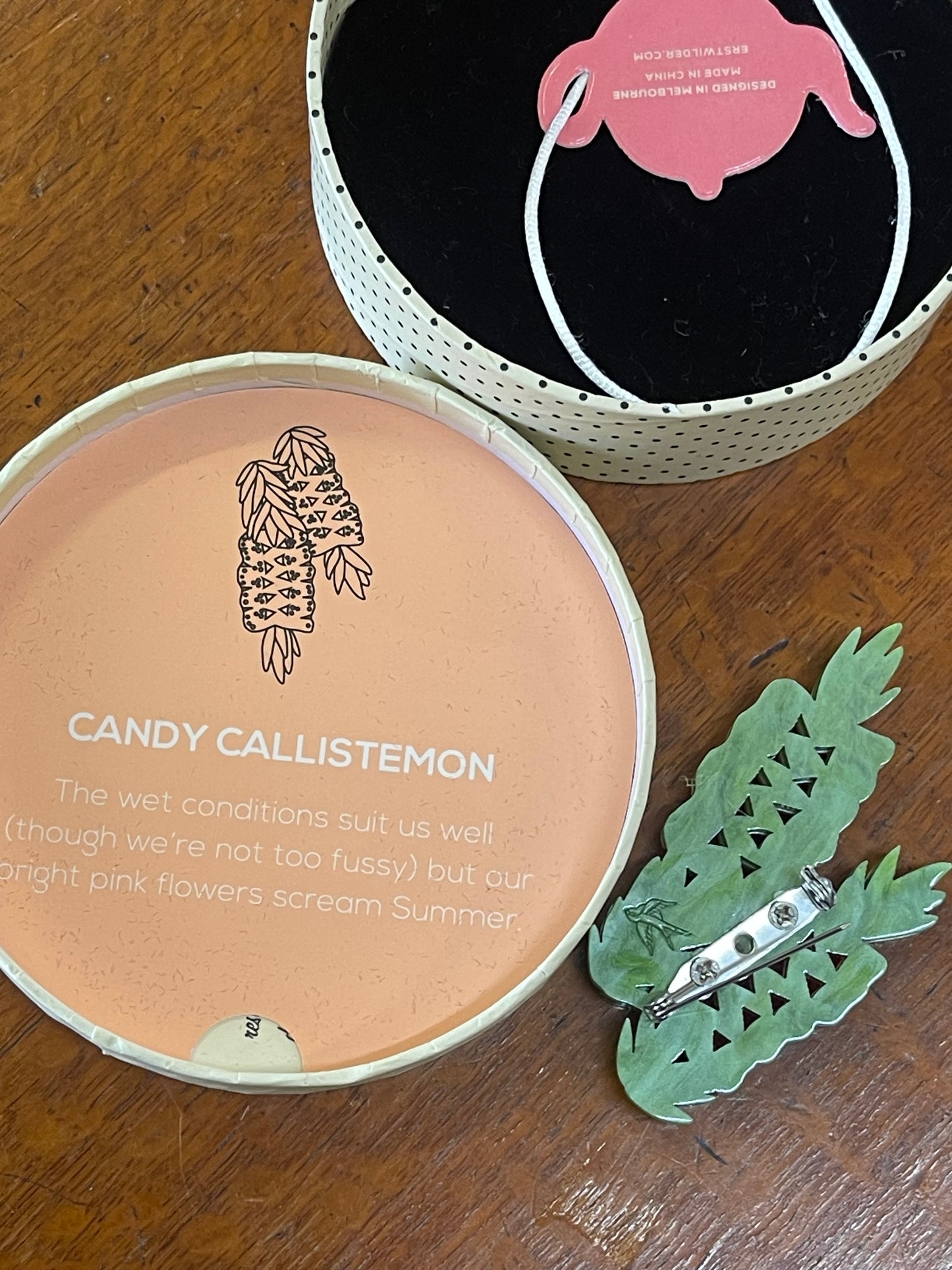 Candy Callistemon Brooch by Erstwilder and Carmen Hui (2018)