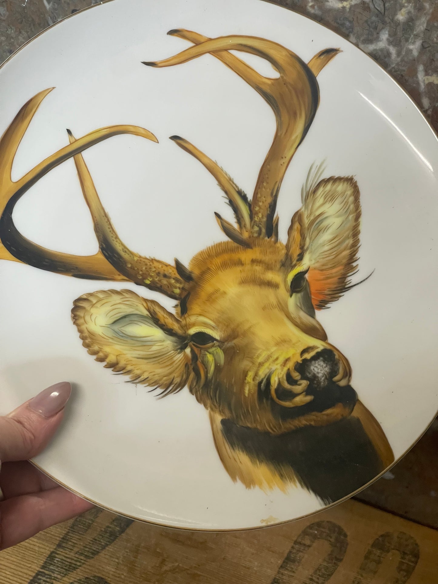 Vintage Saji Fine China Hand-Painted Plate – Stag Head, Japan c.1950s