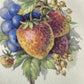 Vintage Crown Ducal Florentine Fruit Plate – England, c.1930s–50s
