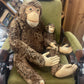 Steiff “Jocko” Chimpanzee & Baby – Early Pair with Provenance (Purchased 1950s)