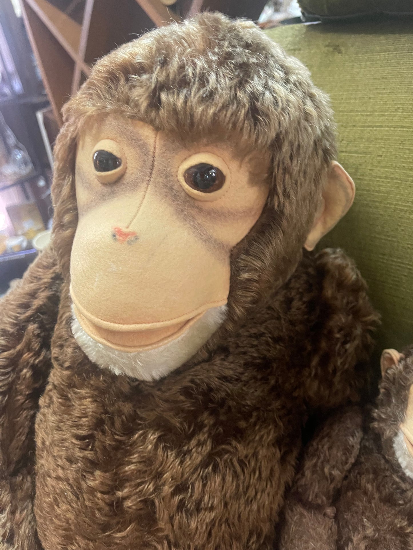 Steiff “Jocko” Chimpanzee & Baby – Early Pair with Provenance (Purchased 1950s)