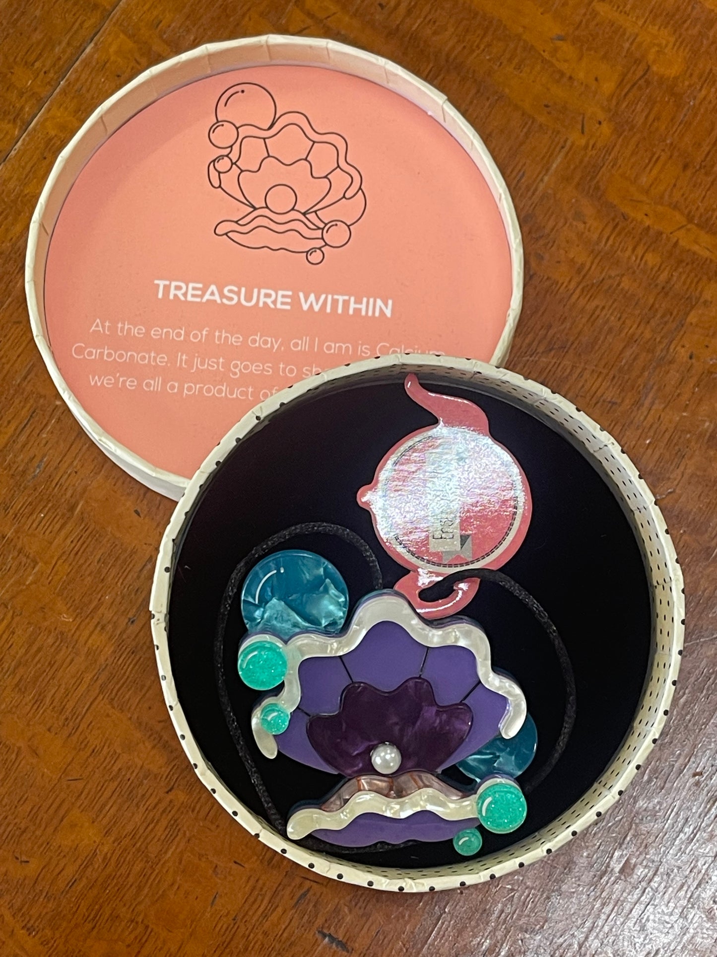 Treasure Within Brooch by Erstwilder and Sally Land (2017)