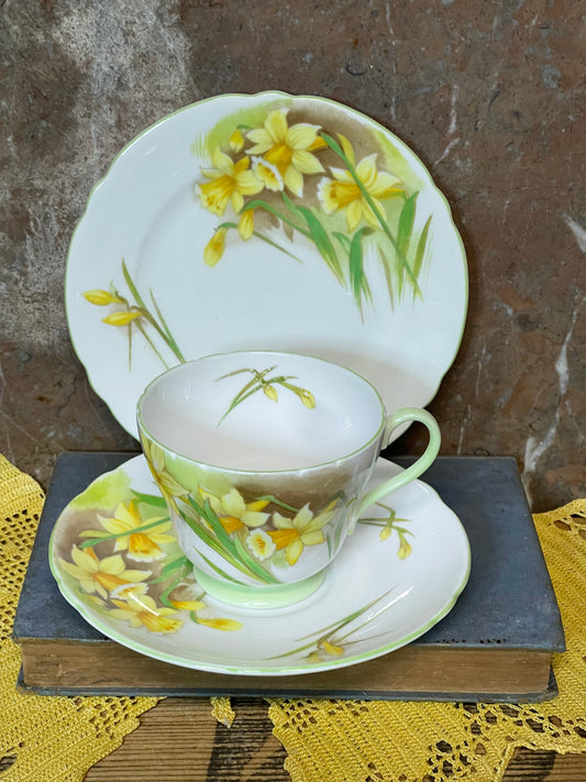 Shelley Fine Bone China Trio – “Jonquil” Pattern