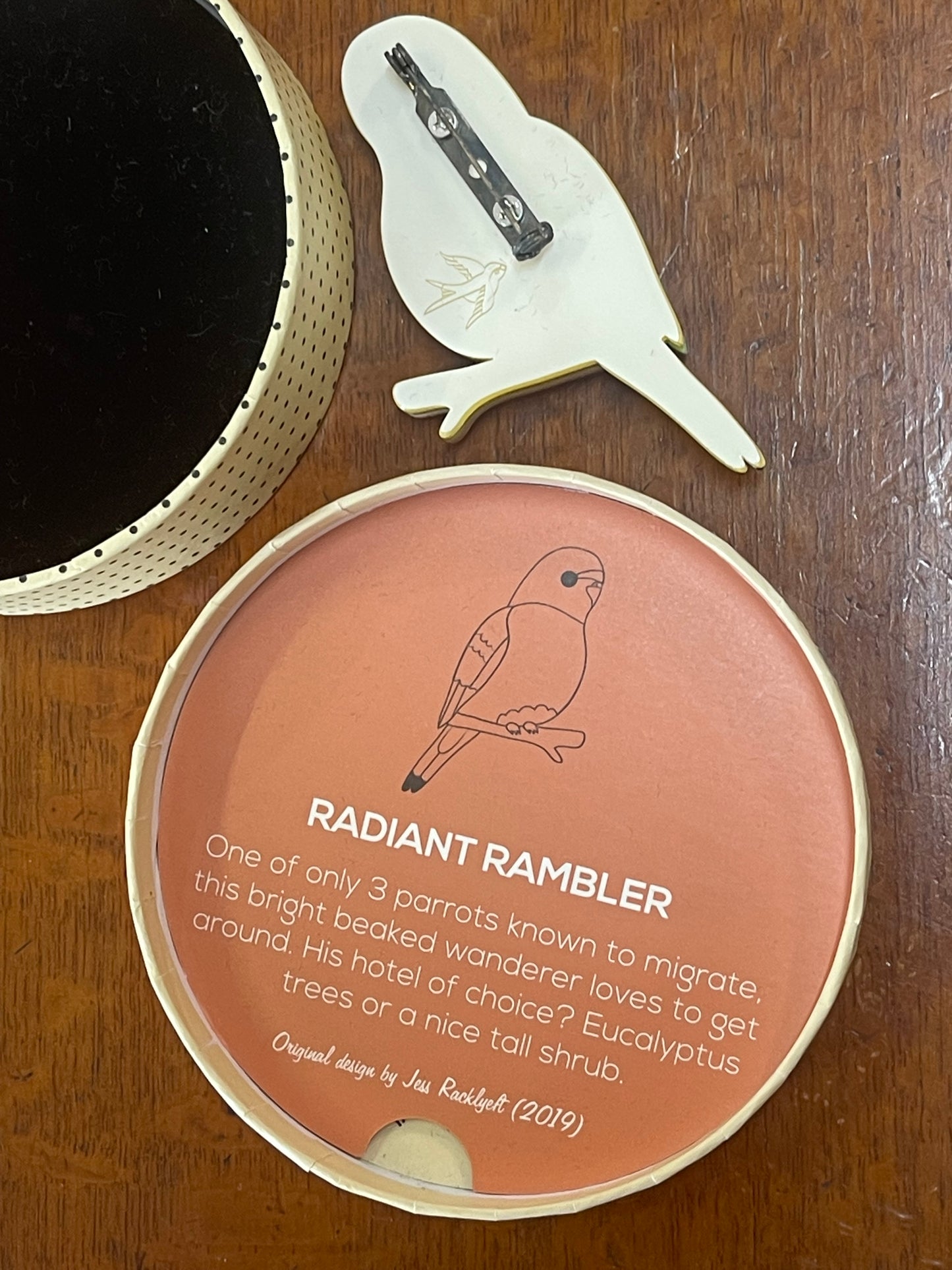 Radiant Rambler Parrot Brooch by Erstwilder and Jess Racklyeft (2019)