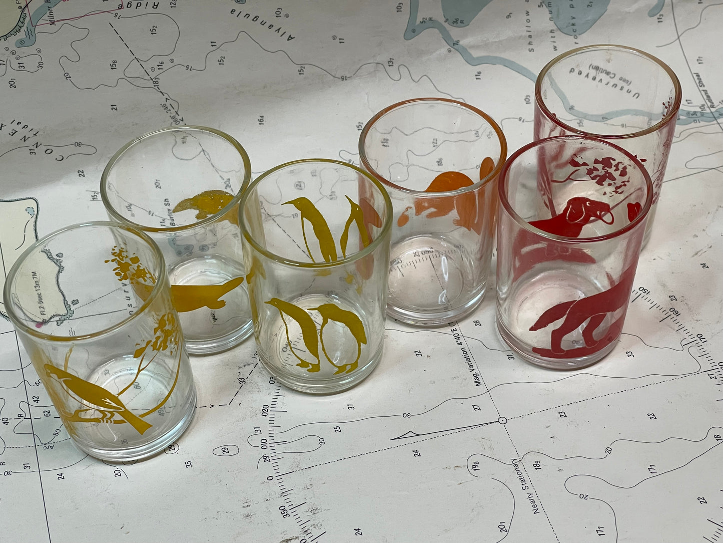 Set of 6 Vintage Australian Wildlife Tumblers – Mini Swanky-Style Glasses