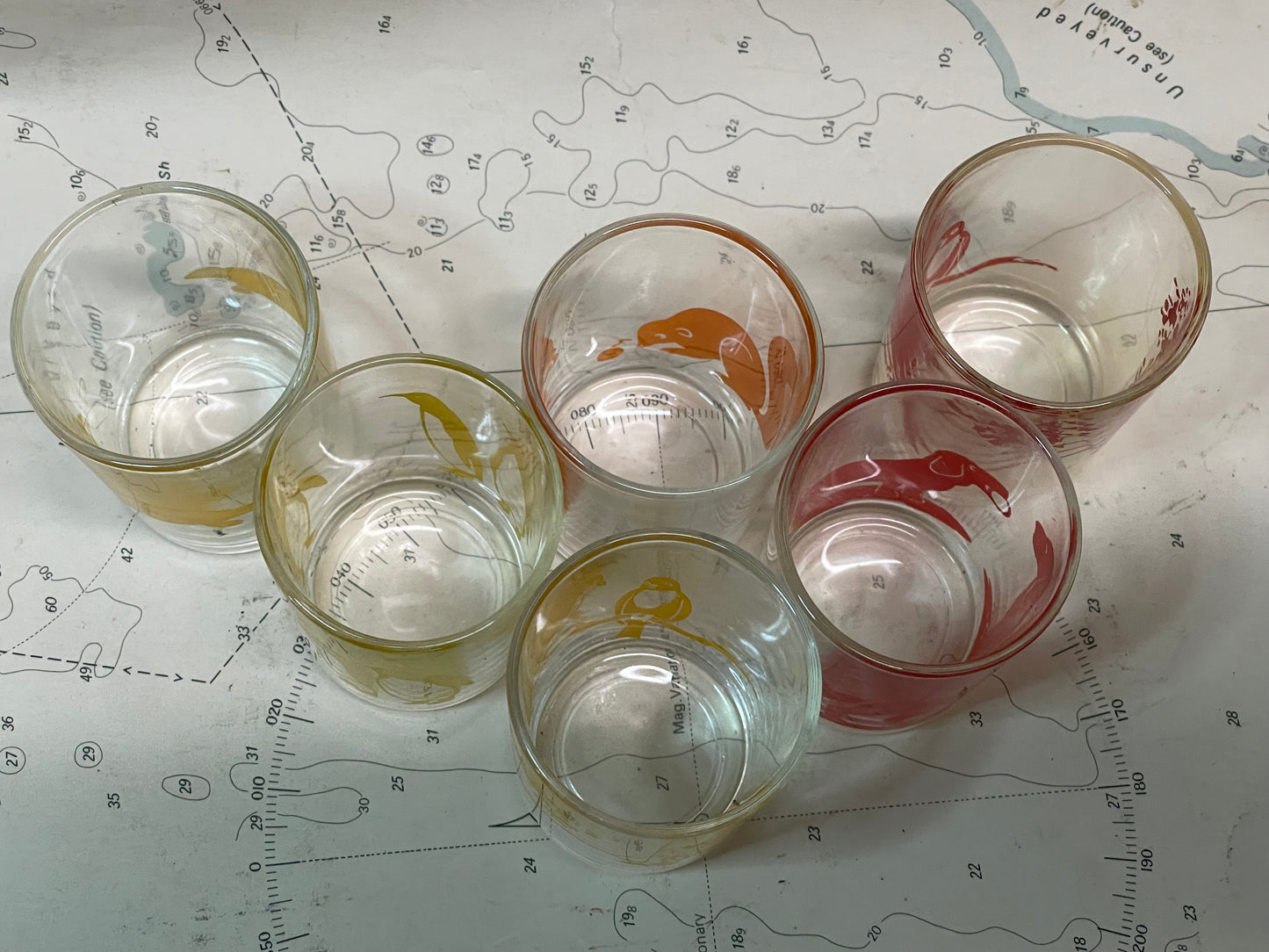 Set of 6 Vintage Australian Wildlife Tumblers – Mini Swanky-Style Glasses