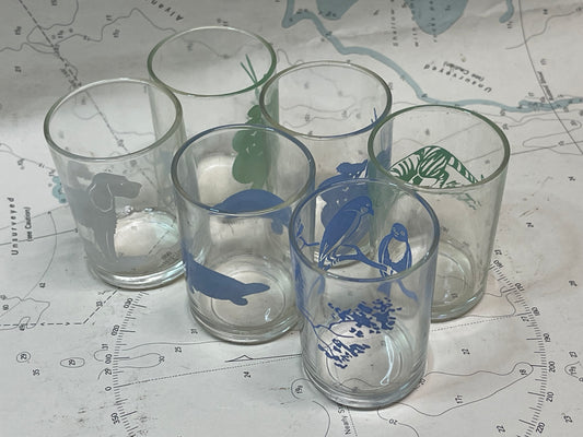 Set of 6 Vintage Australian Wildlife Tumblers – Blue & Green Swanky-Style Glasses