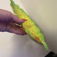 Vintage CARLTON WARE leaf shaped dish with tomato decoration