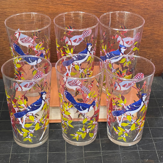 6 piece water glass Set with blue and red birds c.1970 s