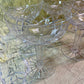 Bohemia Crystal Hollow Stem Champagne Coupes — Set of 6
