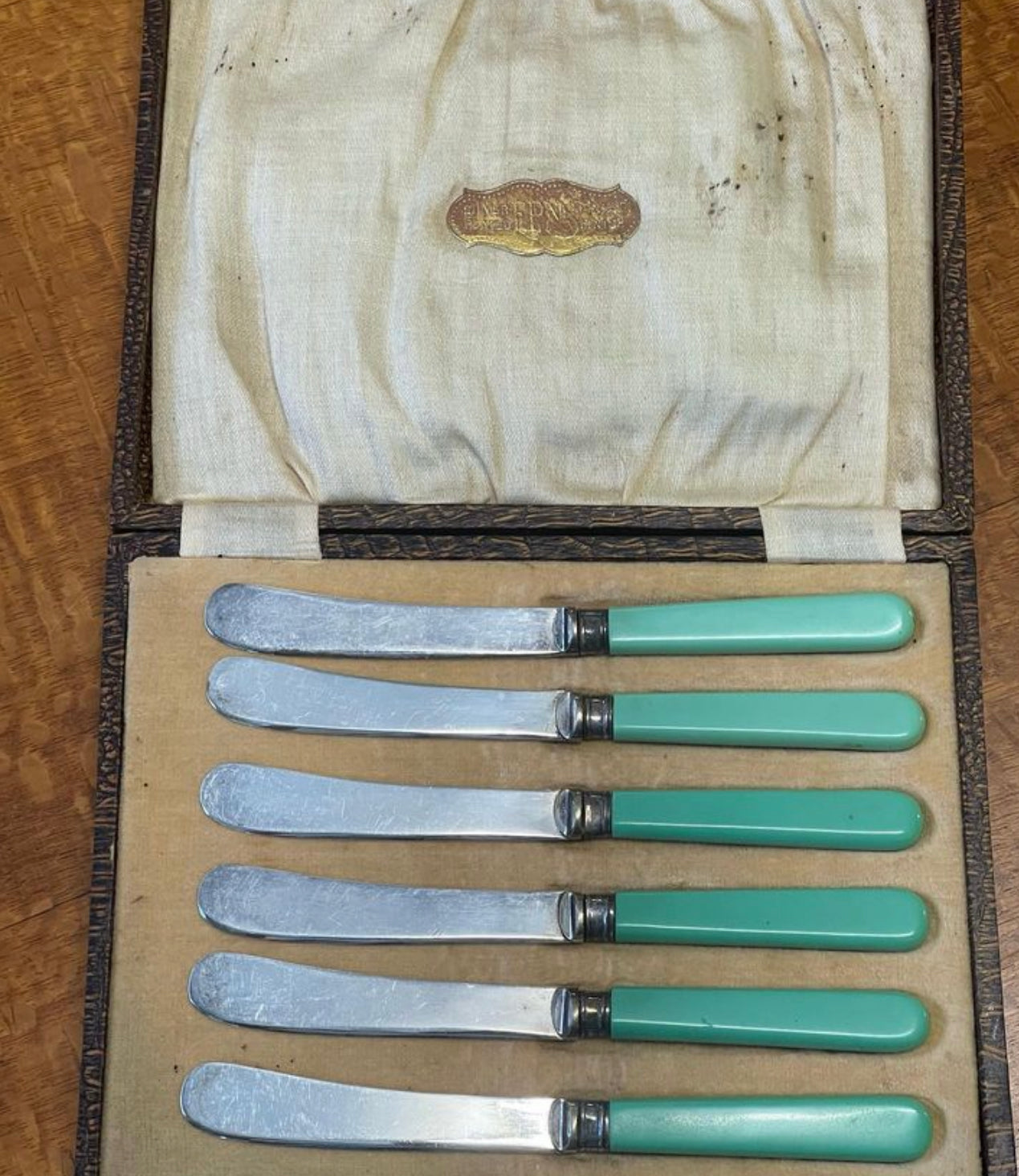 Bone Xylonite Handled silverplate Knife set in Green